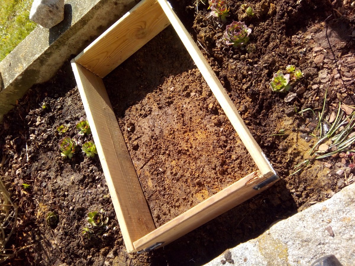 Betonplatten Mit Muster Selber Machen